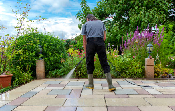 Animal Enclosure Cleaning in Carlsbad, NM